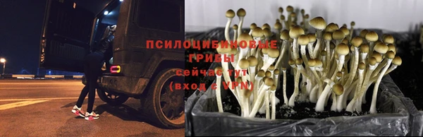 ALPHA PVP Аркадак