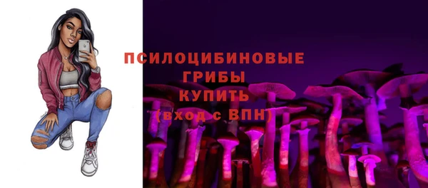 apvp Алзамай