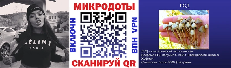 Галлюциногенные грибы Psilocybe  Богучар 